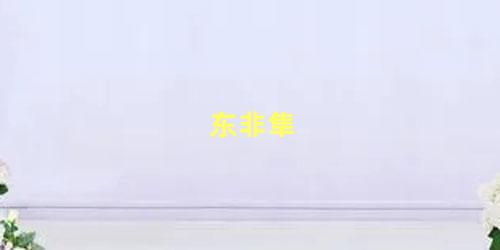 东非隼