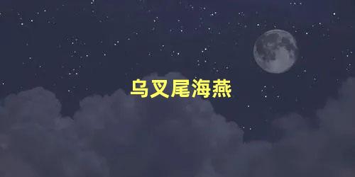 乌叉尾海燕