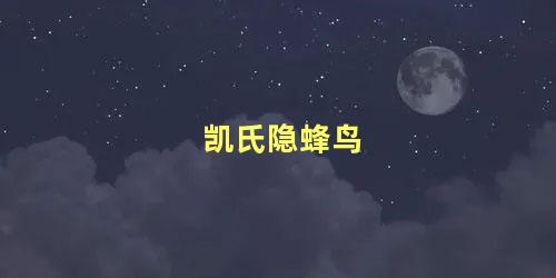 凯氏隐蜂鸟