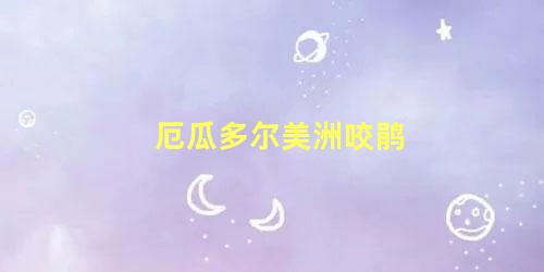 厄瓜多尔美洲咬鹃