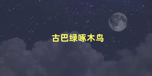 古巴绿啄木鸟