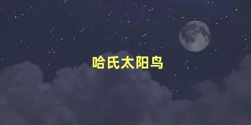 哈氏太阳鸟