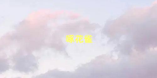 啄花雀