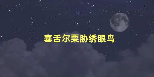 塞舌尔栗胁绣眼鸟