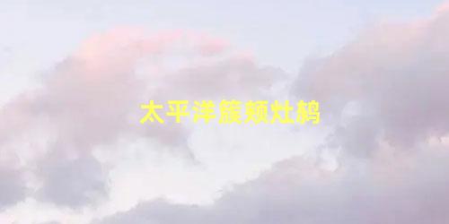 太平洋簇颊灶鸫