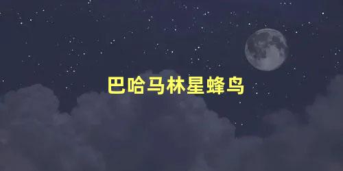 巴哈马林星蜂鸟