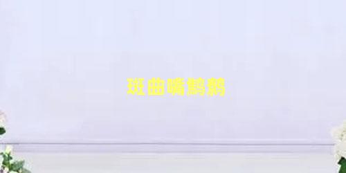 斑曲嘴鹪鹩