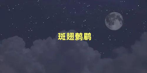 斑翅鹩鹛