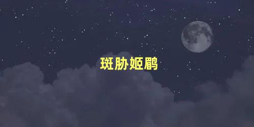 斑胁姬鹛