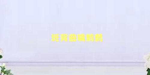 斑背曲嘴鹪鹩