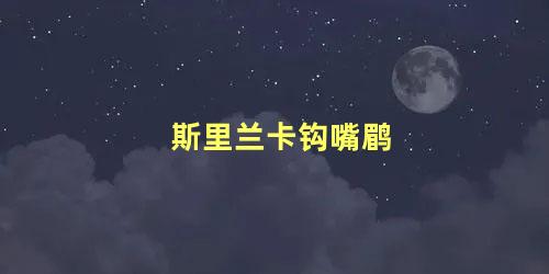 斯里兰卡钩嘴鹛