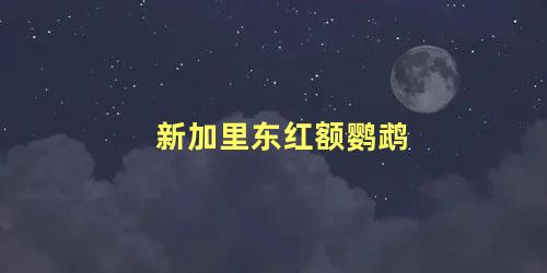 新加里东红额鹦鹉