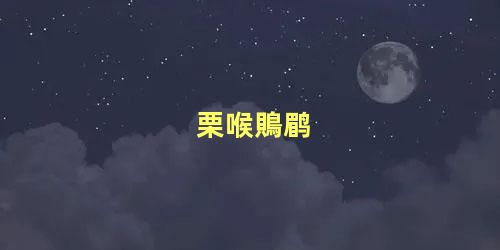 栗喉鵙鹛