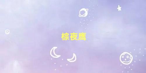 棕夜鹰