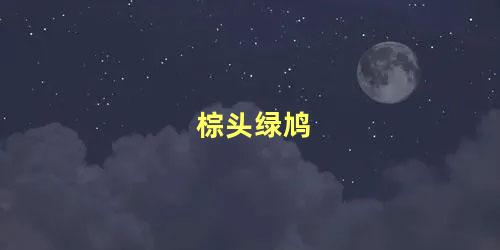 棕头绿鸠