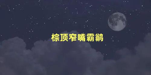 棕顶窄嘴霸鹟