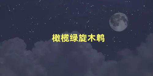 橄榄绿旋木鹎