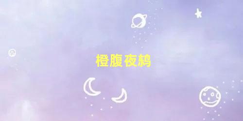 橙腹夜鸫