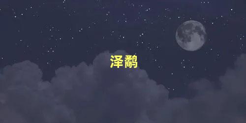 泽鹬