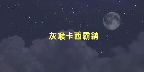 灰喉卡西霸鹟