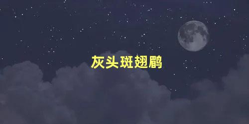 灰头斑翅鹛