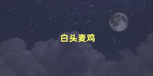 白头麦鸡