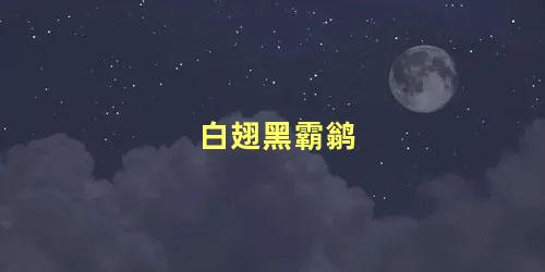 白翅黑霸鹟