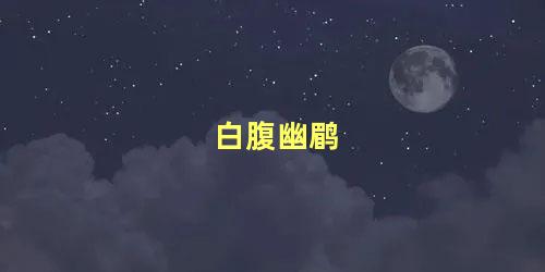 白腹幽鹛