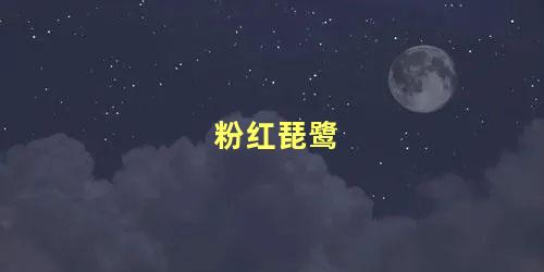 粉红琵鹭