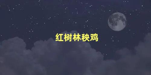 红树林秧鸡