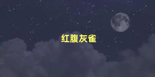 红腹灰雀