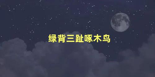 绿背三趾啄木鸟