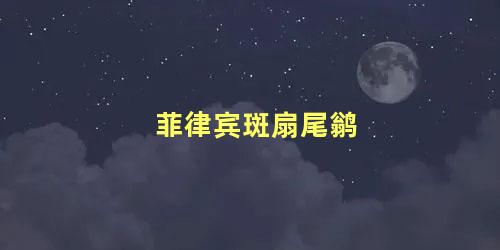 菲律宾斑扇尾鹟