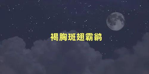 褐胸斑翅霸鹟