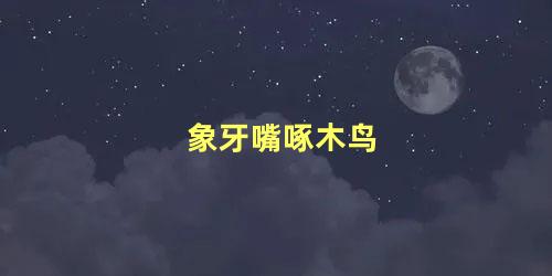 象牙嘴啄木鸟