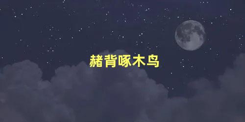 赭背啄木鸟