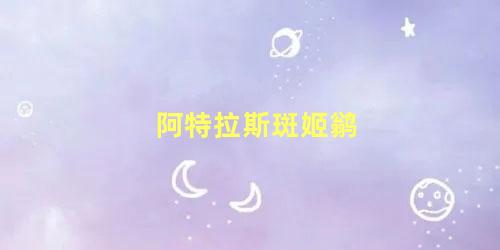 阿特拉斯斑姬鹟