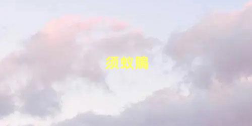 须蚁鵙