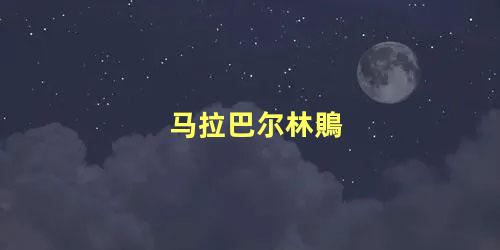 马拉巴尔林鵙