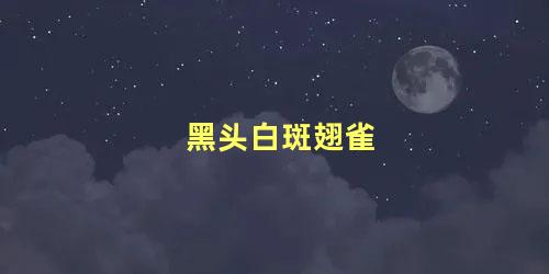 黑头白斑翅雀